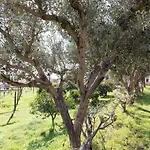 Esmeraldo