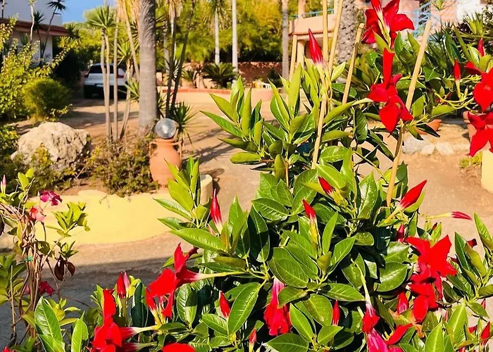 Esmeraldo 3* كابو فاتيكانو